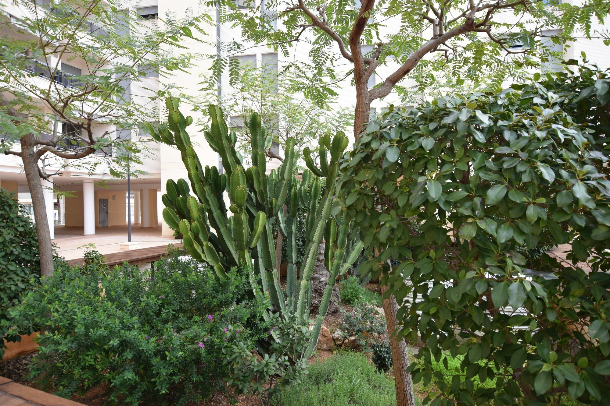 Plaza Mayor 2 Bedroom Apartment Calpe Ngoại thất bức ảnh